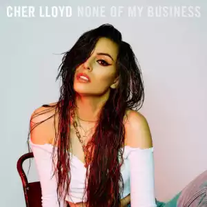 Cher Lloyd - None Of My Business (snippet)